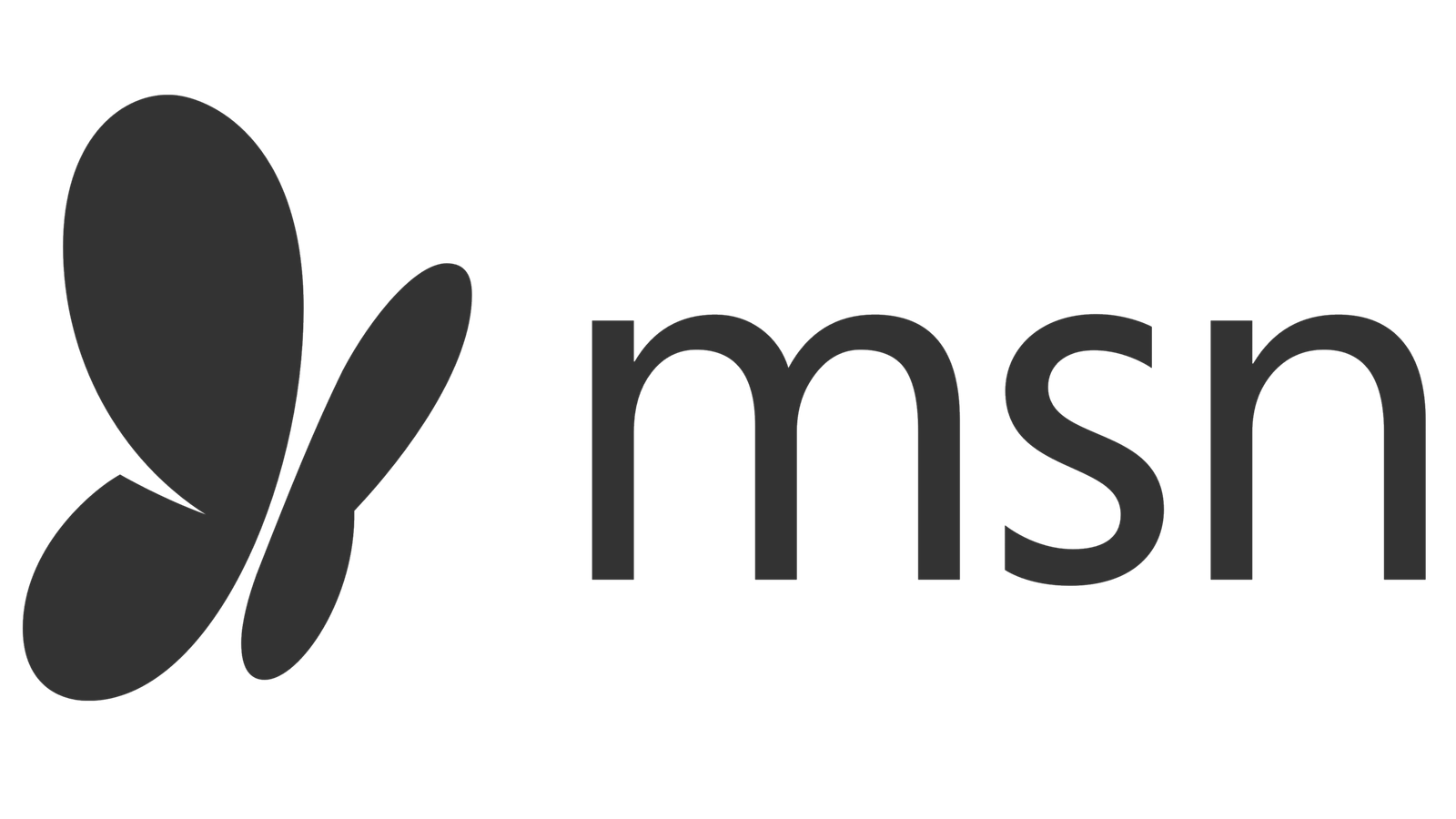 MSN-logo